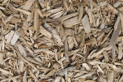 biomass boilers Penicuik